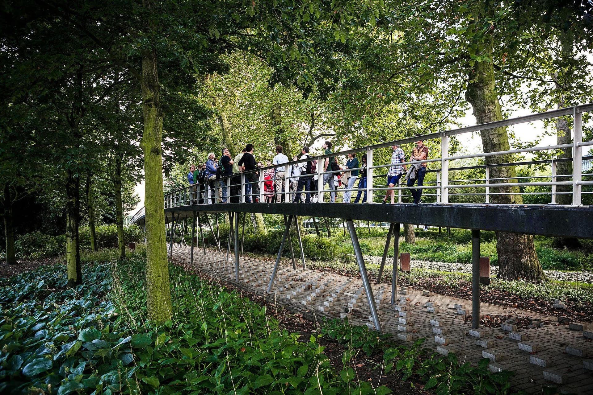 Bomenwandeling. Foto Matthijs Immink 