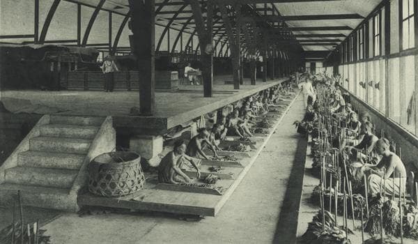 Interior of the tobacco sorting hall in the Poengei establishment, owned by the Deli Maatschappij, 1905. Seen in the image were Chinese laborers selecting the various qualities of tobacco leaves. KITLV 88327. Photo: C. J. Kleingrothe. 