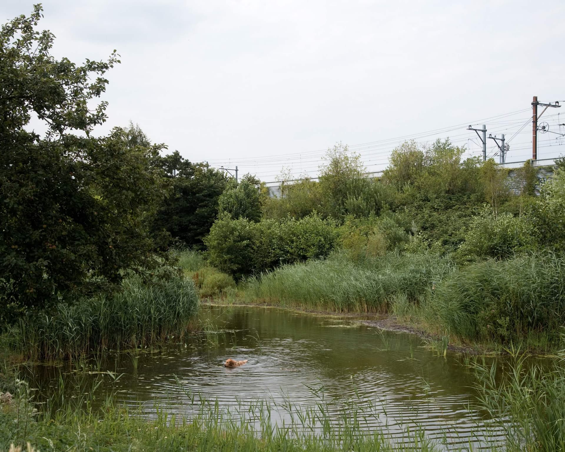 Essenburgpark. Foto Petra van der Ree 