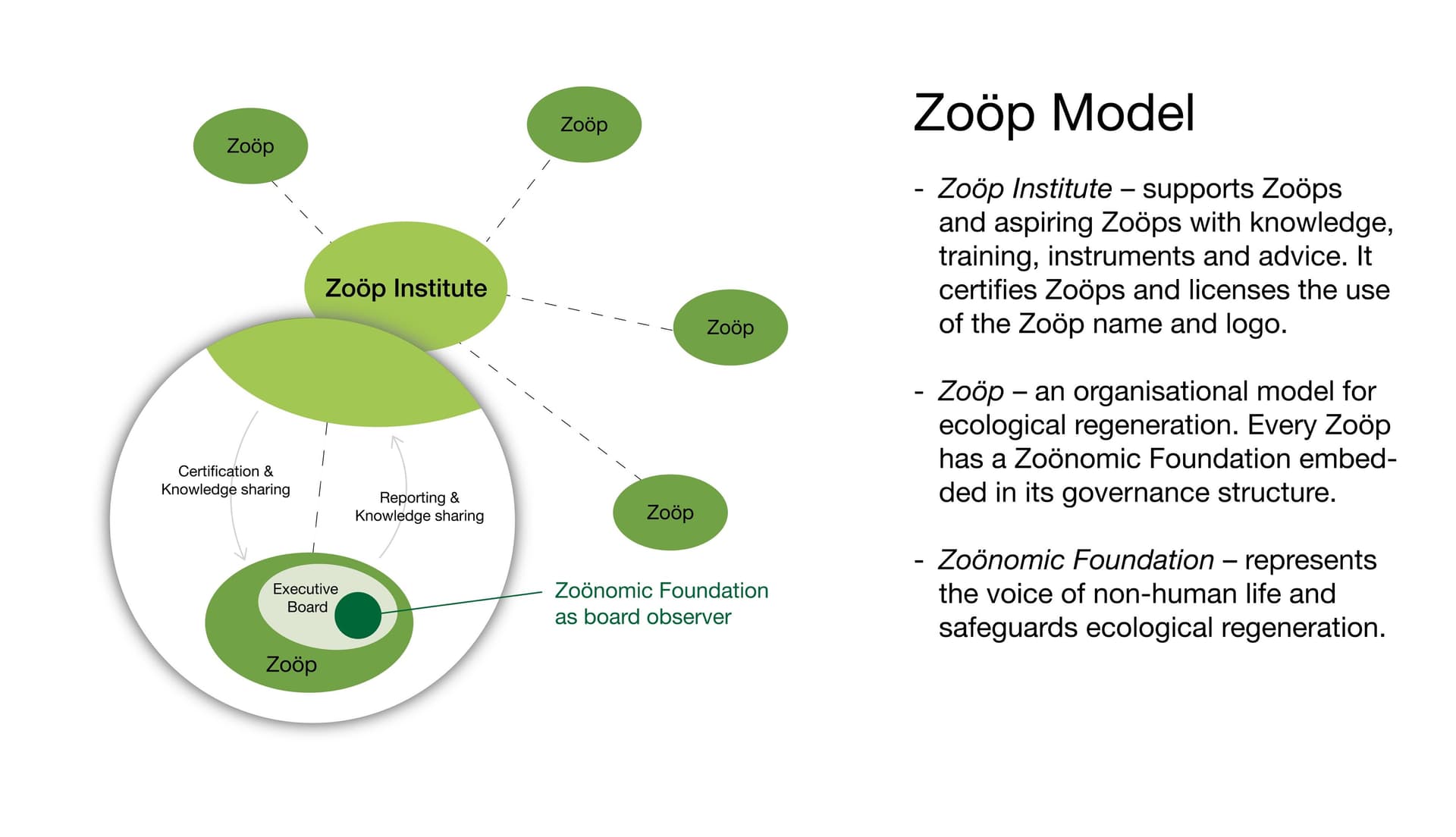 Zoöp Model
Zoöp Instituut – ondersteunt Zoöps en aspirant-Zoöps met kennis, training, instrumenten en advies. 
Zoöp – een organisatiemodel voor ecologische regeneratie. Elke Zoöp heeft een Zoönomische Stichting ingebed in zijn bestuursstru… 