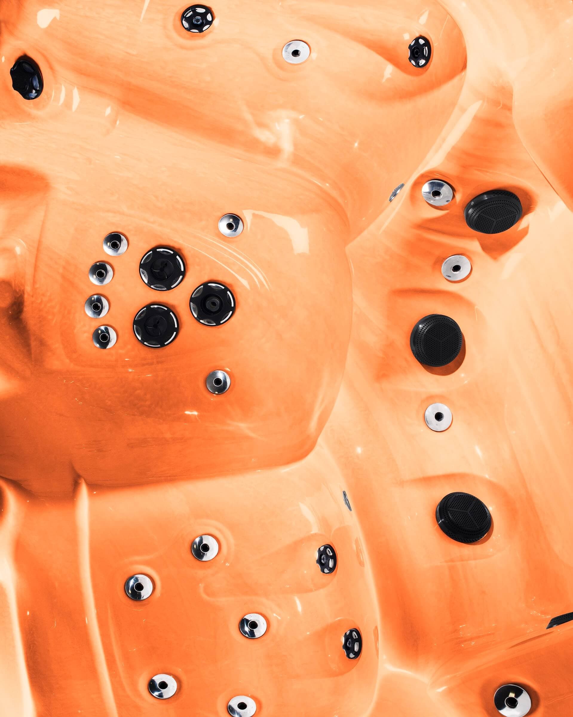 Coral, Technological Exaptation, 2016  © Maxime Guyon 