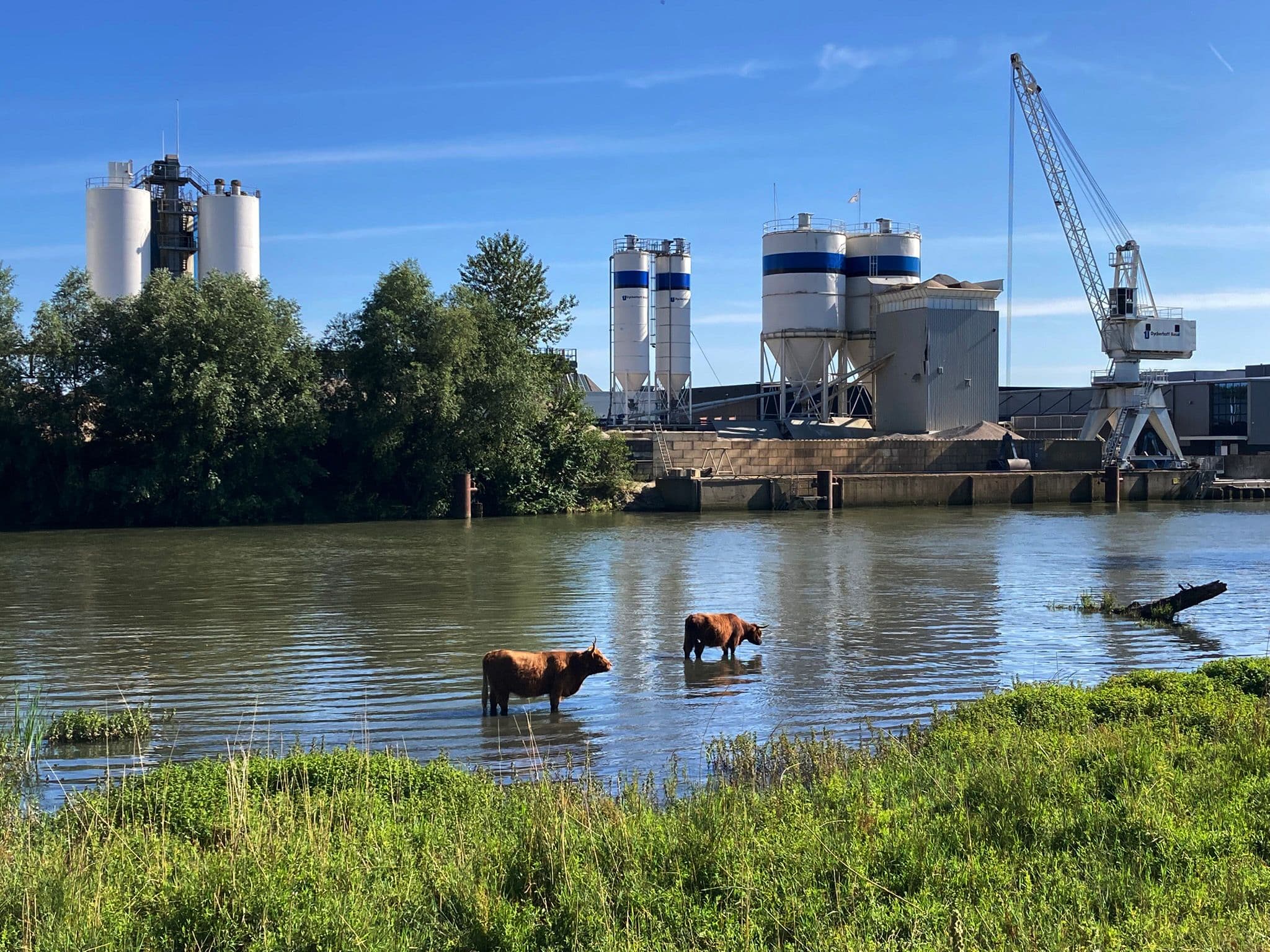 Brienenoordeiland. Foto: Di Fang