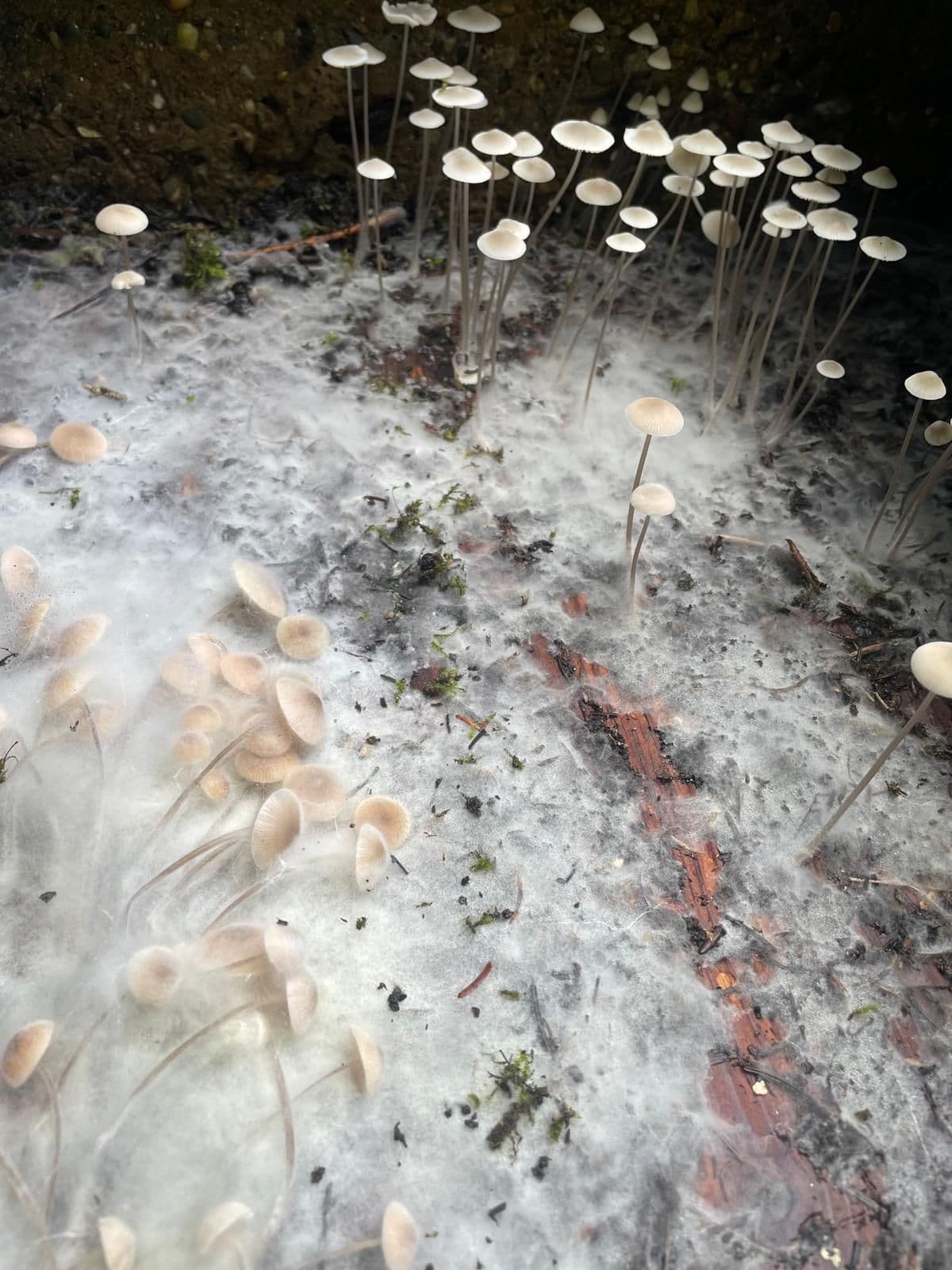 Beeld met dank aan: COMPOS(T)ING