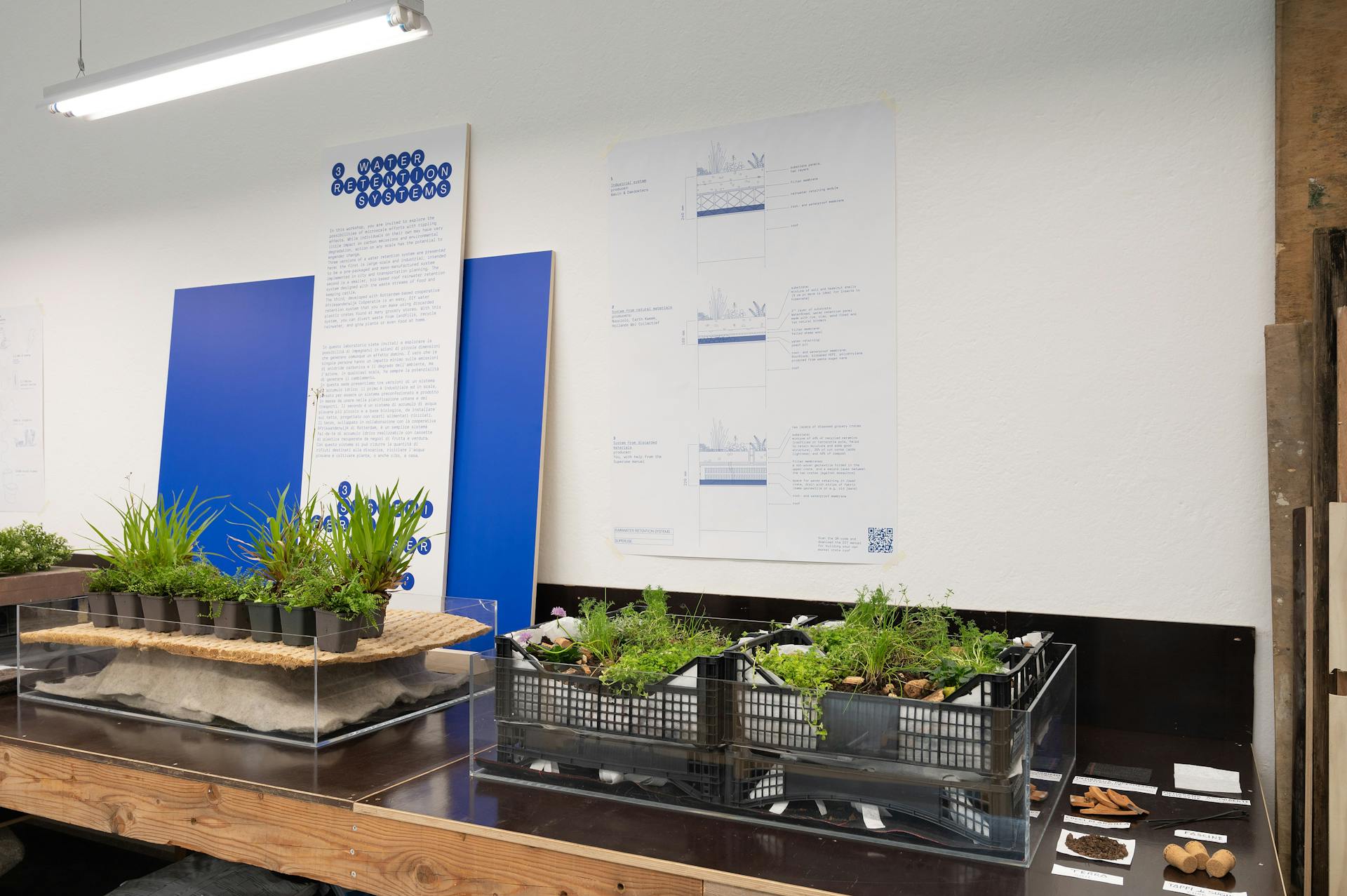 Working desk with plants in crates.