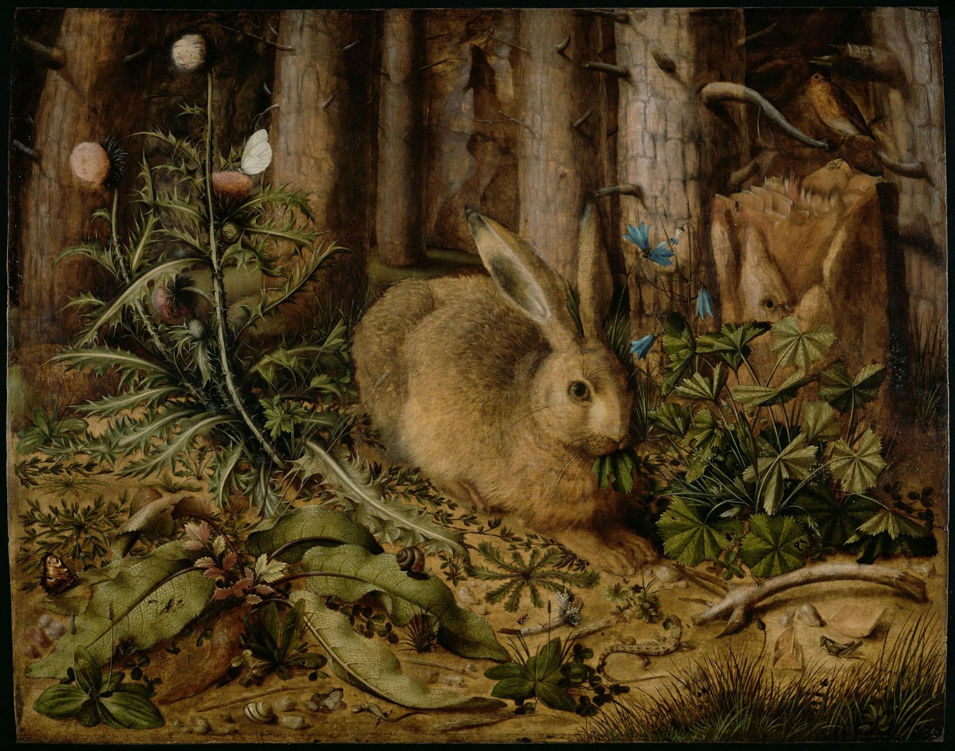 Een haas in het bos. Hans Hoffman, ca. 1585 