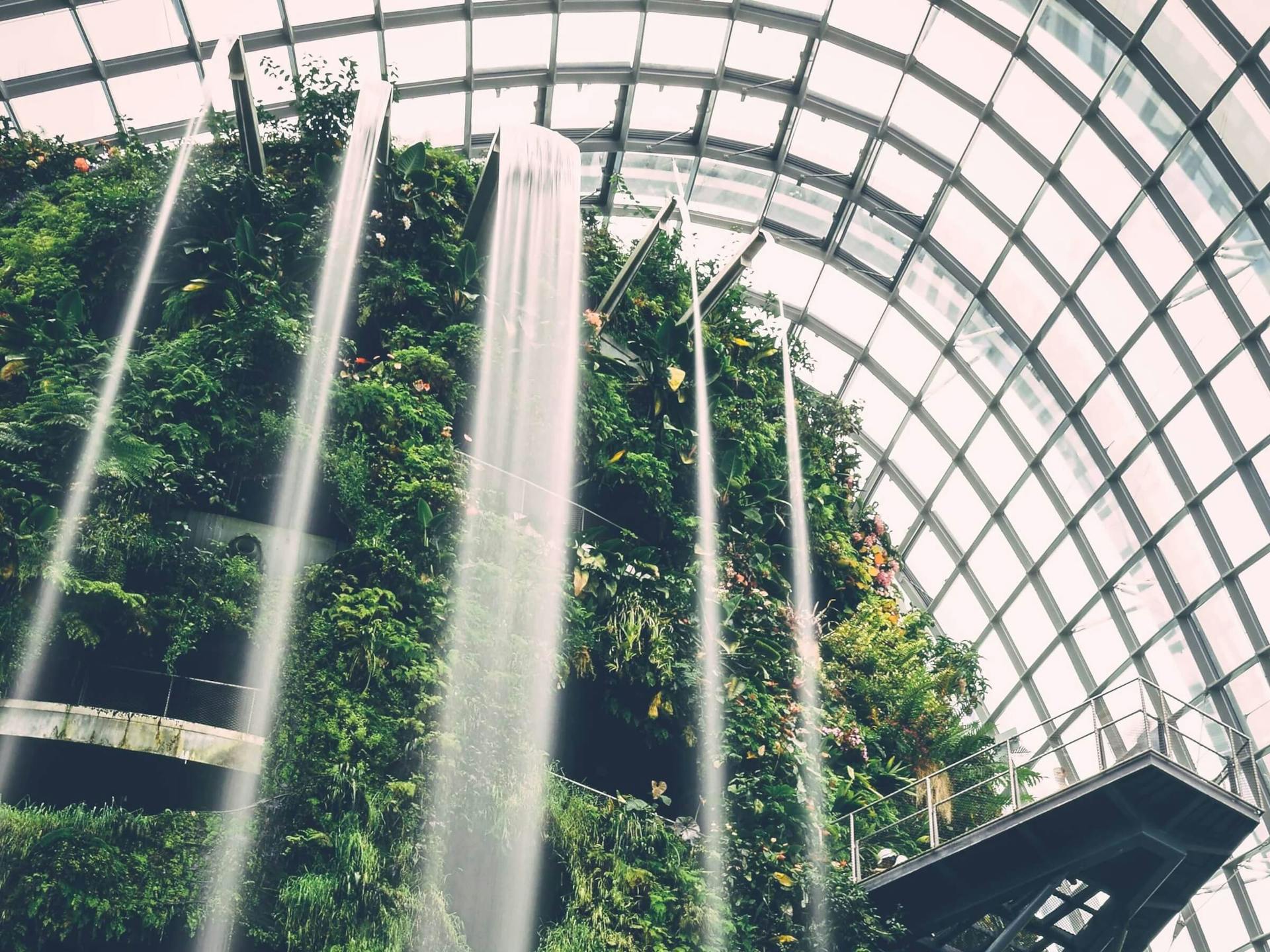 Botanical garden with waterfall. Public Domain Images – PIXNIO 