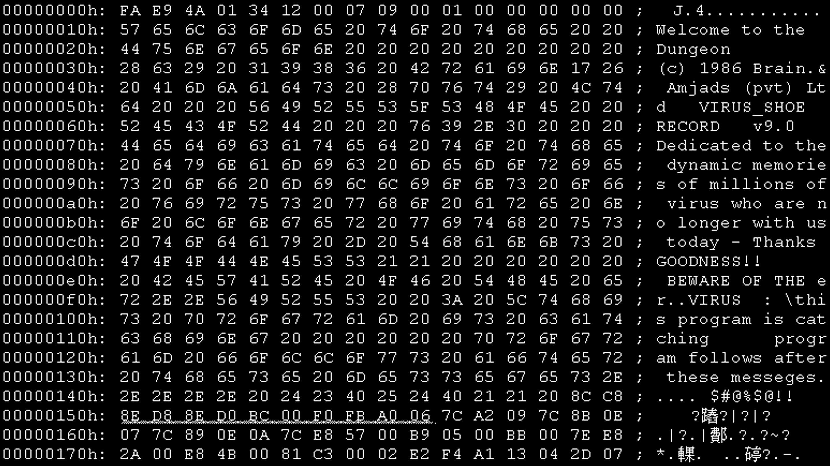 BRAIN (1986) is het eerste DOS computervirus uit de geschiedenis. Beeld: screenshot 