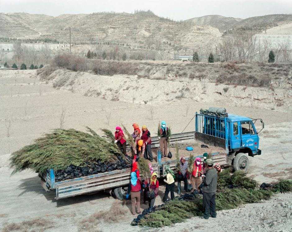Boom planters aan de rand van herbeplantte heuvels, Southern Gansu, China. Foto Lucas Oleniuk, 2008. Collectie Lucas Oleniuk 