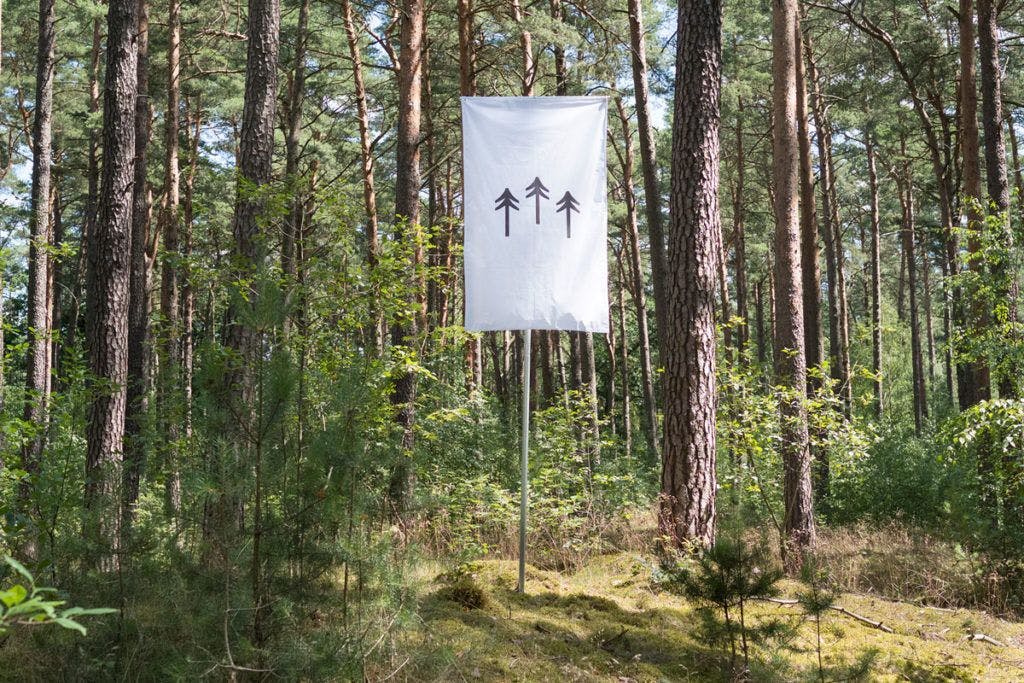 The Self-Owning Augmented Forest: Photo: Terra0. 